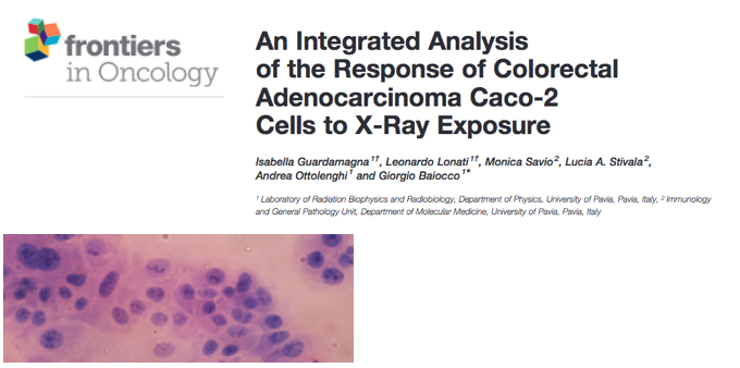Latest publication in Frontiers in Oncology!